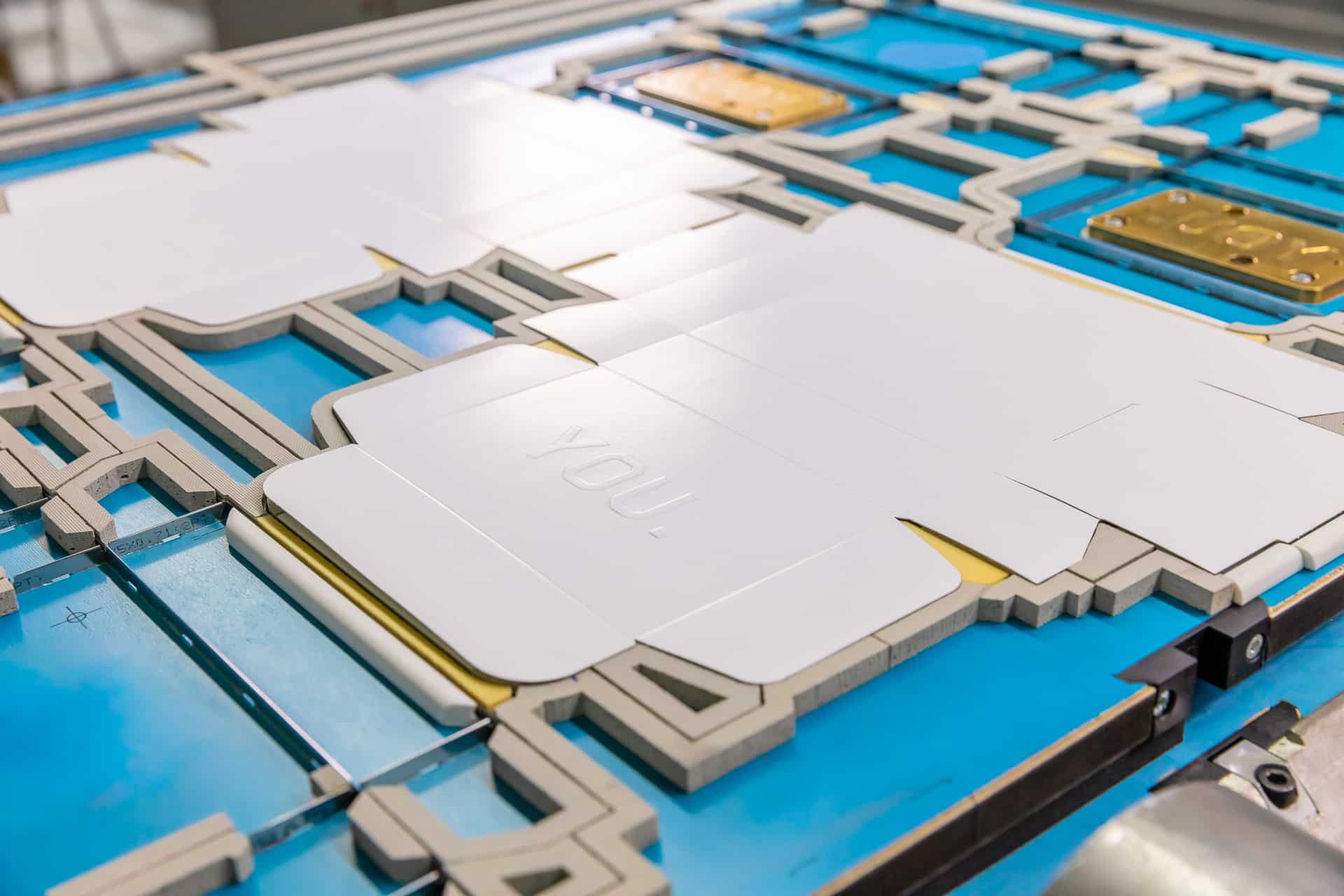 Cardboard blank on a cutting-die